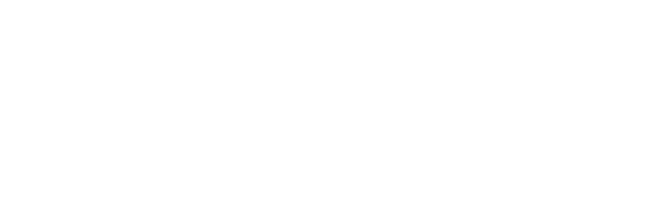 2025 TDY FLIR OEM_2 Line Logo_White.png