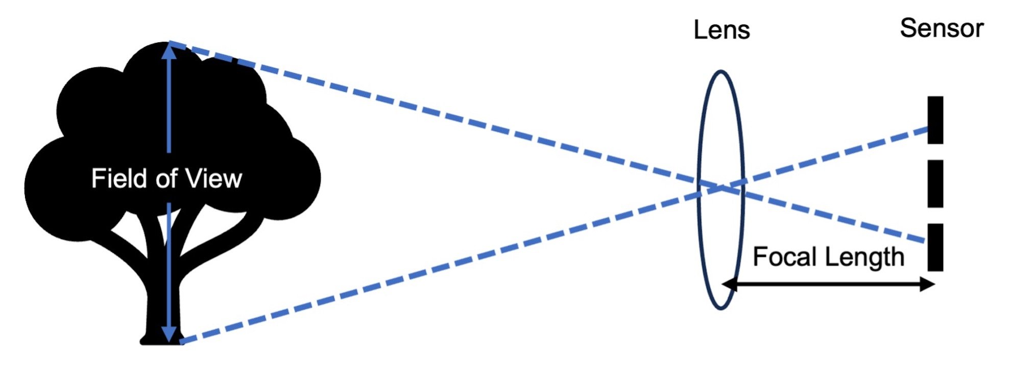 Figure 1_Tech Briefs.jpg
