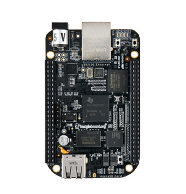 LeptonIntegration_BeagleBonei_600x625.jpg